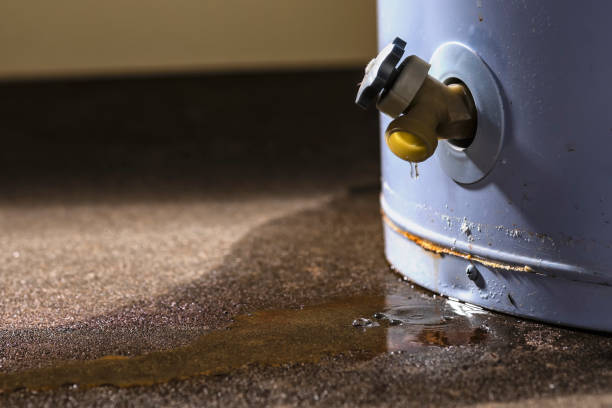 Best 24-hour water damage restoration  in Luna Pier, MI
