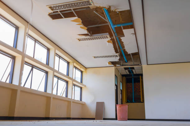 Best Mold removal after water damage  in Luna Pier, MI