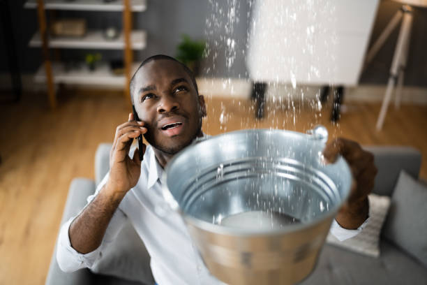 Best 24/7 water damage repair  in Luna Pier, MI