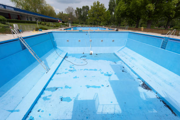 Best Water damage cleanup near me  in Luna Pier, MI