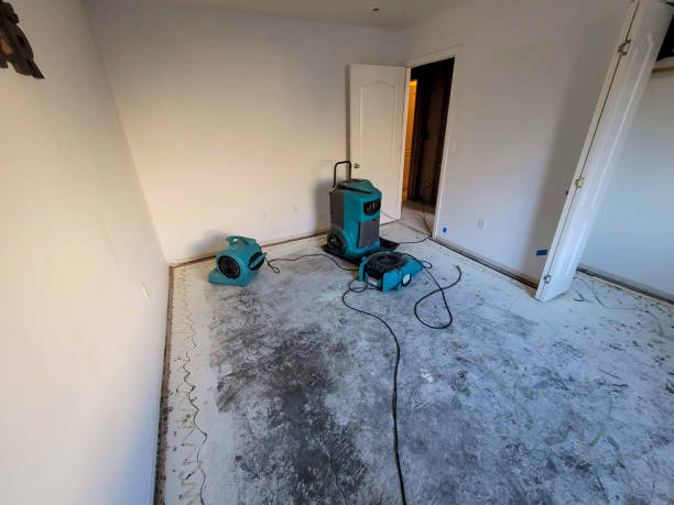 Carpet water damage restoration in MI