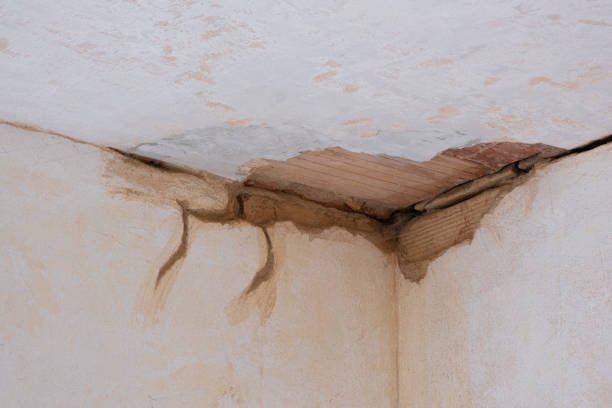 Water damage restoration mold remediation in MI