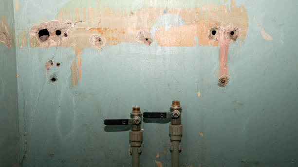 Best Ceiling water damage repair  in Luna Pier, MI