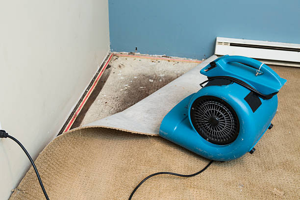 Best Water damage restoration near me  in Luna Pier, MI
